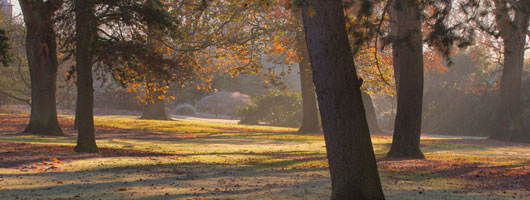 攻击网站的方法